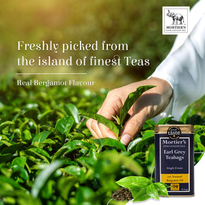 200 EARL GREY TEA BAGS REFILL PACK